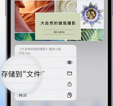 鄂托克apple维修中心分享iPhone文件应用中存储和找到下载文件