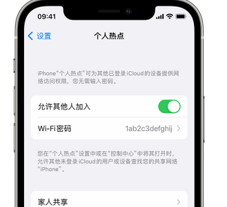 鄂托克apple服务站点分享iPhone上个人热点丢失了怎么办 