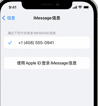 鄂托克apple维修iPhone上无法正常发送iMessage信息 