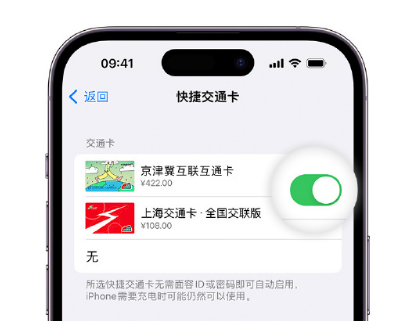 鄂托克apple维修点分享iPhone上更换Apple Pay快捷交通卡手绘卡面 