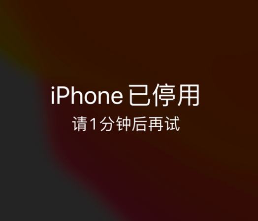 鄂托克苹果手机维修分享:iPhone 显示“不可用”或“已停用”怎么办？还能保留数据吗？ 