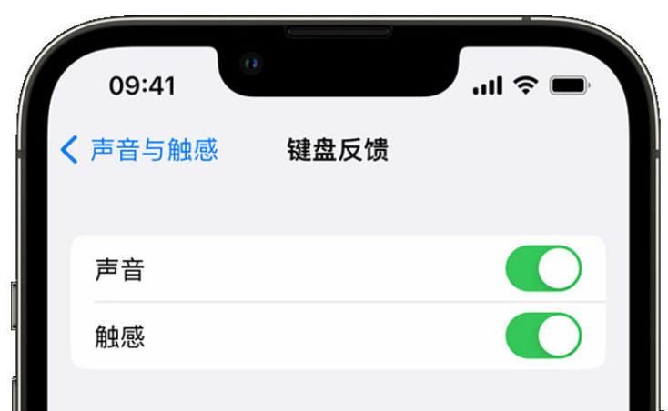 鄂托克苹果手机维修分享iPhone 14触感键盘使用方法 