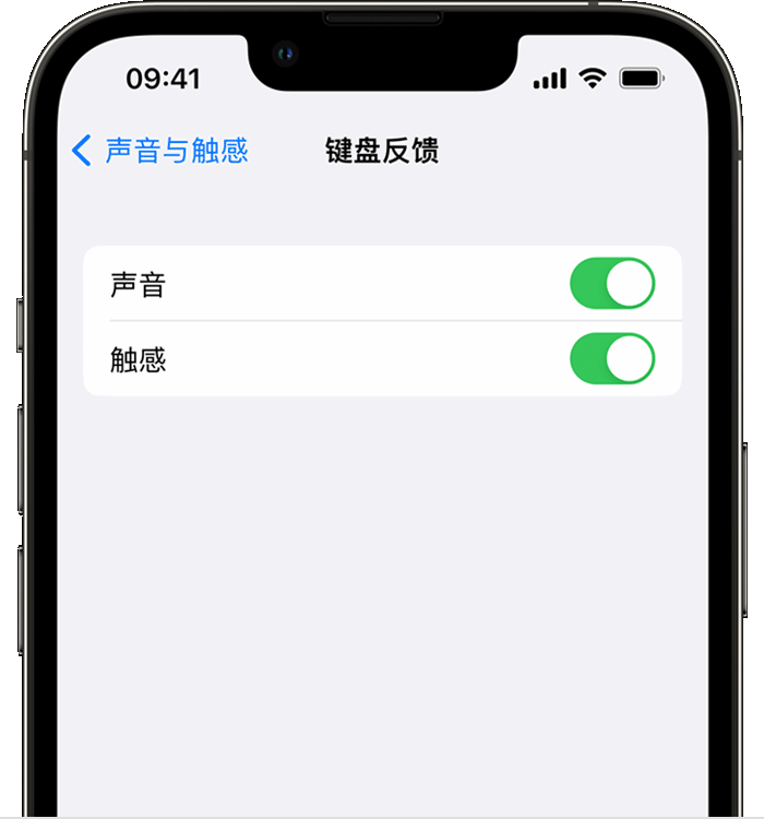 鄂托克苹果14维修店分享如何在 iPhone 14 机型中使用触感键盘 