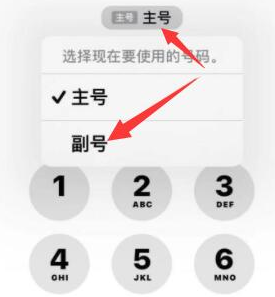 鄂托克苹果14维修店分享iPhone 14 Pro Max使用副卡打电话的方法 