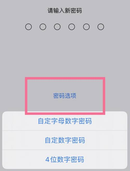 鄂托克苹果14维修分享iPhone 14plus设置密码的方法 