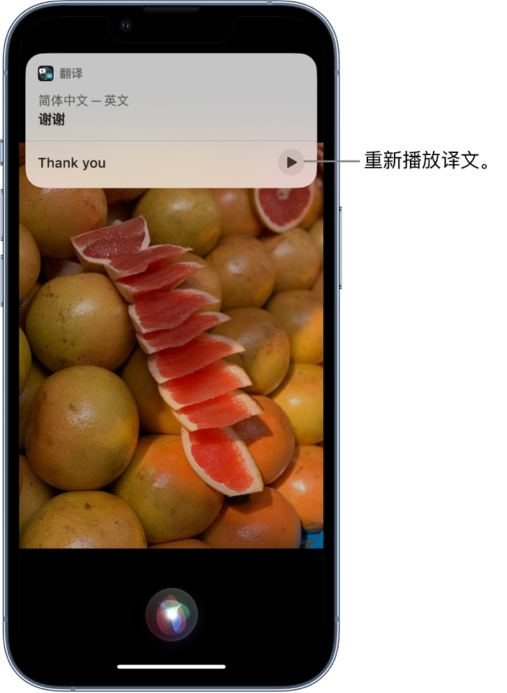 鄂托克苹果14维修分享 iPhone 14 机型中使用 Siri：了解 Siri 能帮你做什么 