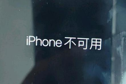 鄂托克苹果服务网点分享锁屏界面显示“iPhone 不可用”如何解决 