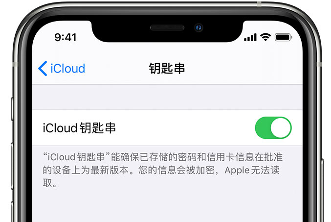 鄂托克苹果手机维修分享在 iPhone 上开启 iCloud 钥匙串之后会储存哪些信息 