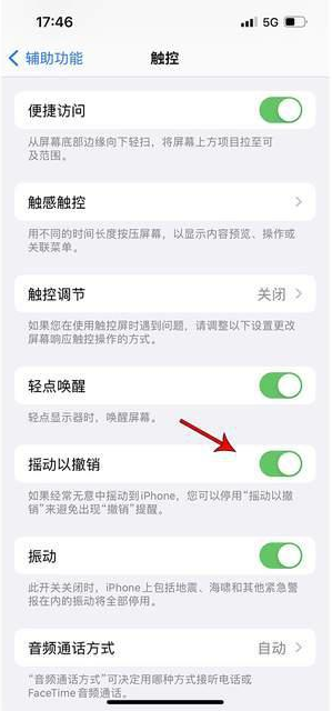 鄂托克苹果手机维修分享iPhone手机如何设置摇一摇删除文字 